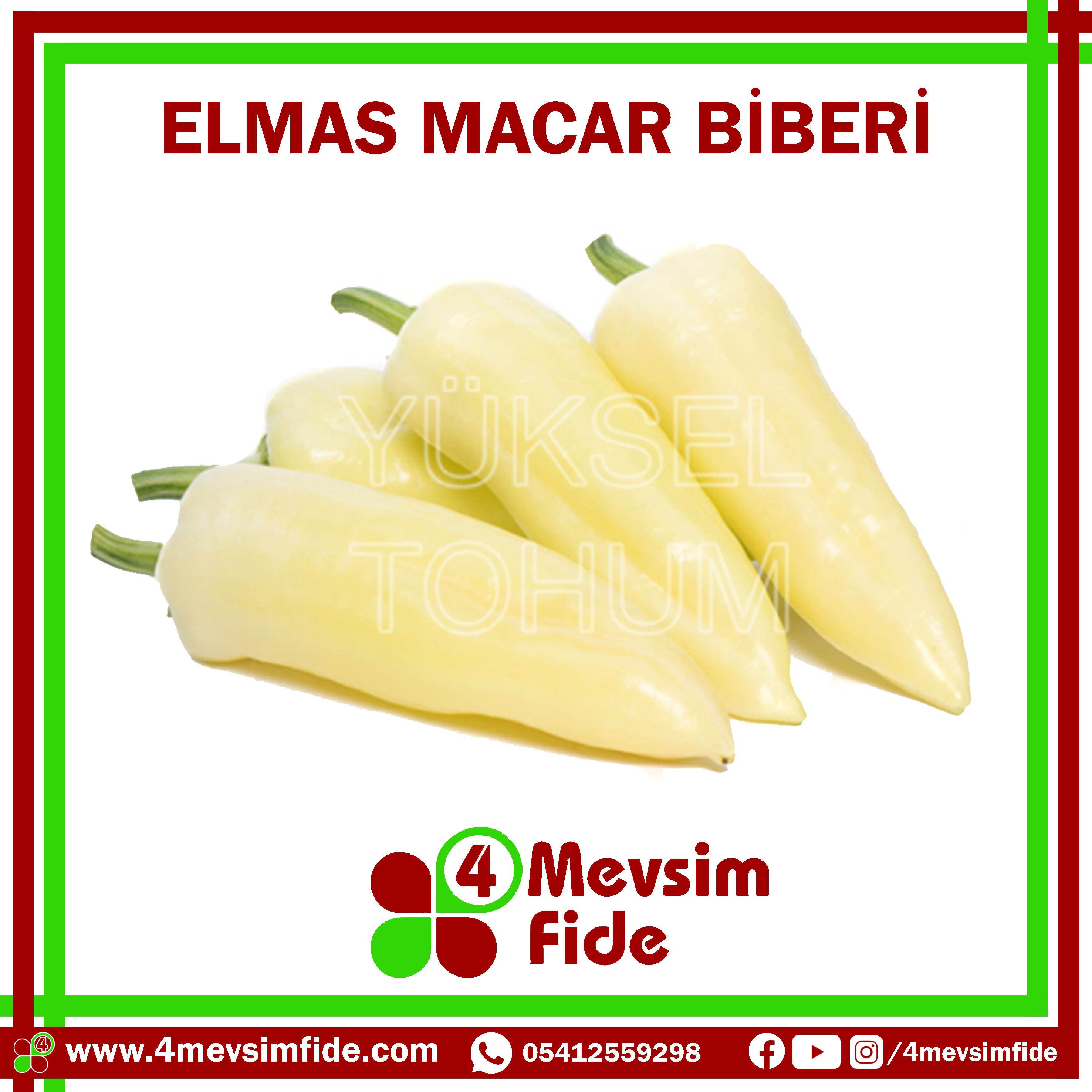 Elmas F1 Macar Biber